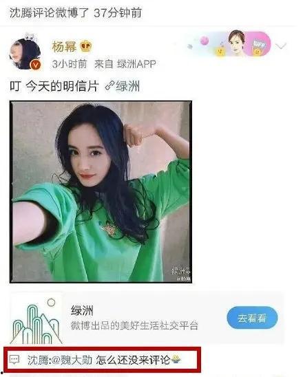 娱乐圈吃瓜第一题,揭秘明星背后的惊人真相！